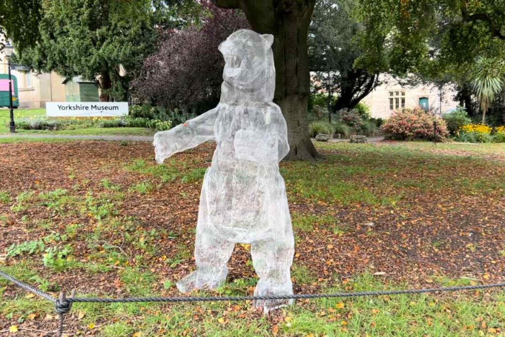 Bear in Museum Garden York