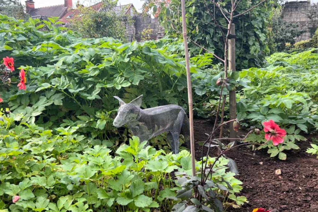 Fox in Museum Garden York