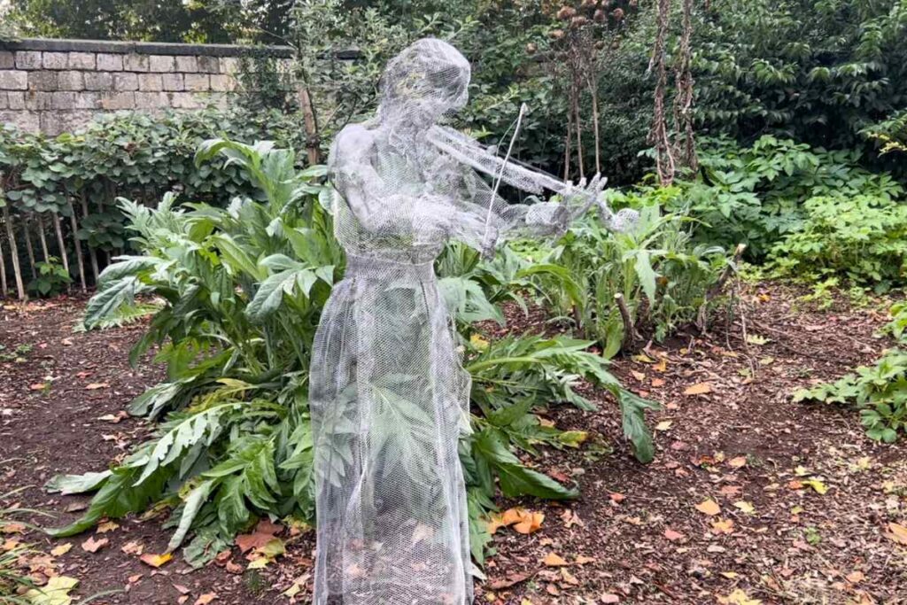 Musician in Museum Garden York