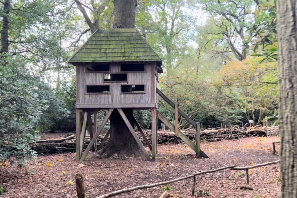 Bird watch tree house in York