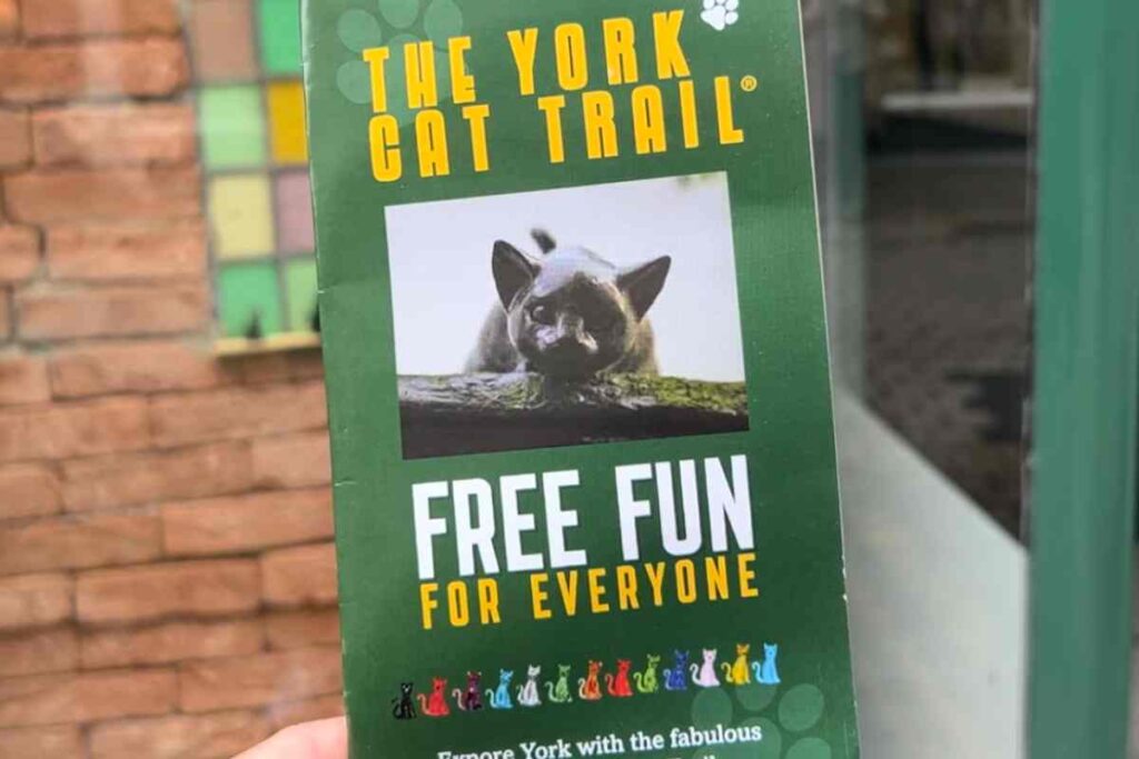 Cat Trail Leaflet and Map York Cat Trail