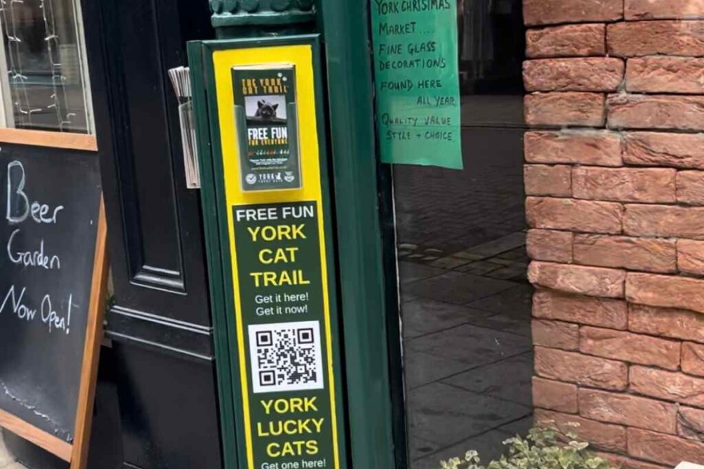 Leaflet Stand Outside Shop York Cat Trail