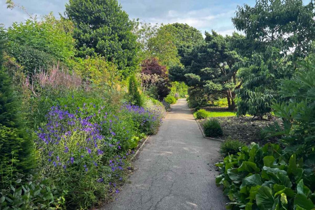 Walking near Homestead Park Flower Garden Pathway