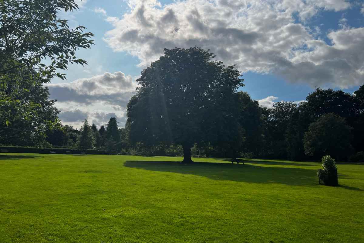 Walking around Homestead Park Main Field