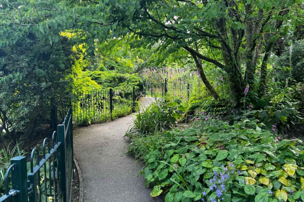 Walking near Homestead Park Pond Pathway