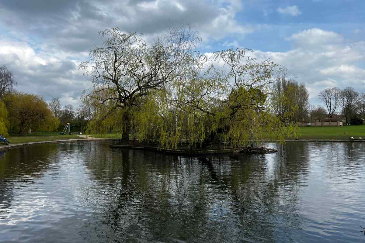 Rowntree Park in York
