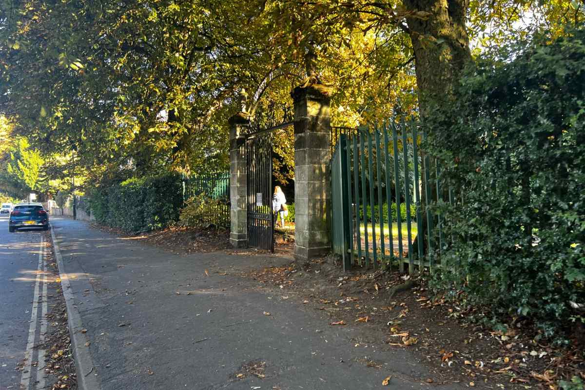 West Bank Park dogs in York