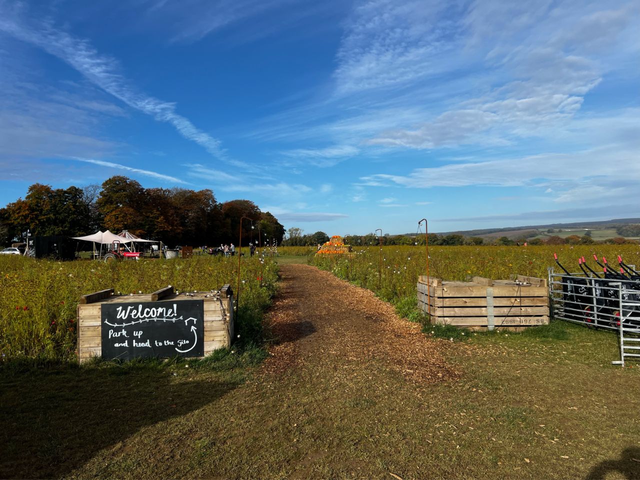 Flower Belt Helmsley visit