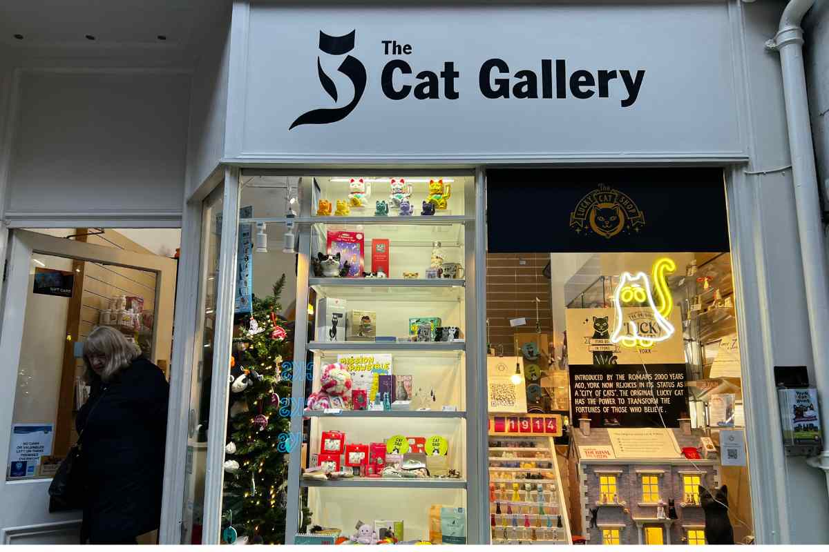 cat lovers shop in york